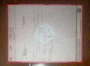 Loyola Marymount University transcript