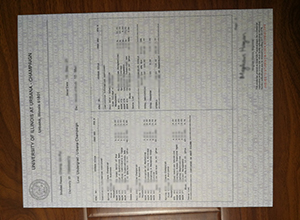 University of Illinois Urbana-Champaign transcript