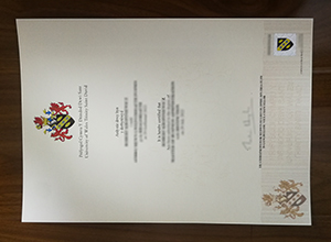 University of Wales Trinity Saint David diploma