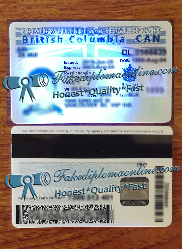 British Columbia Driver's License