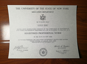 Registered Professional Nurse license