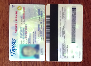 Texas Driver License