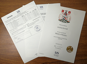 University of Sussex ddiploma and transcript