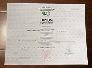 Czech Technical University in Prague degree