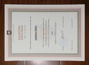Mykolo Romerio universitetas diploma