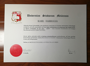 University of Malta diploma