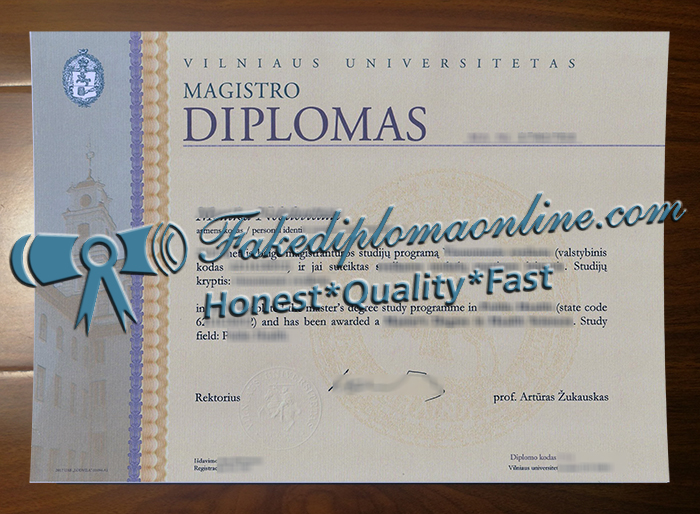 Vilniaus universitetas degree