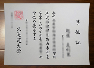 Hokkaido University degree