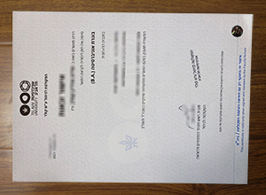 Tel Aviv University degree