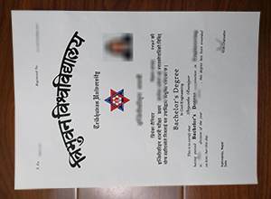 Tribhuvan University degree