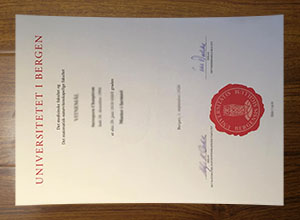 University of Bergen diploma