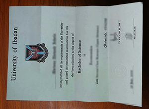 University of Ibadan degree