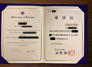 University of Tsukuba degree