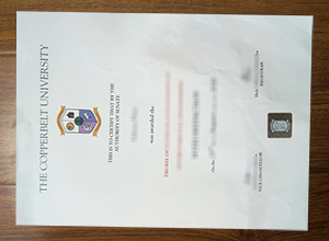 Copperbelt University degree
