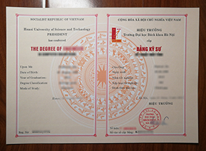 Hanoi University of Science and Technology diploma