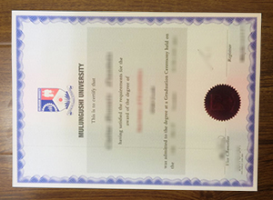 Mulungushi University diploma