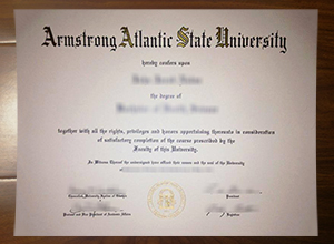 Armstrong Atlantic State University degree