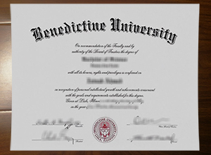 Benedictine University degree