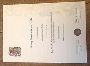 Bishop Grosseteste University degree