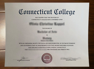 Connecticut College degree