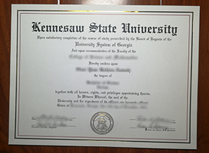 Kennesaw State University degree