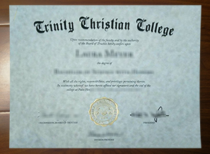 Trinity Christian College degree