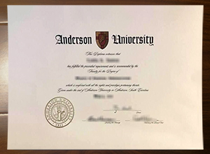 Anderson University degree