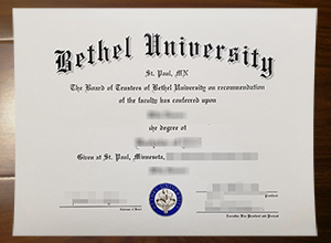 Bethel University degree