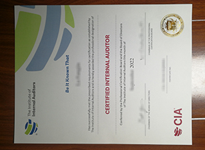 Certified Internal Auditor certificate