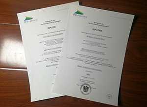 FH Burgenland diploma