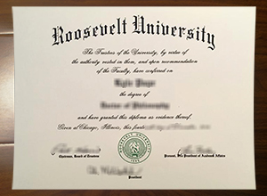 Roosevelt University degree