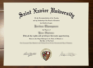 Saint Xavier University degree