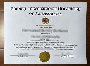 Trinity International University degree