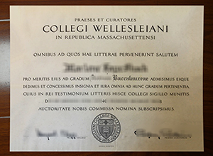 Wellesley College degree
