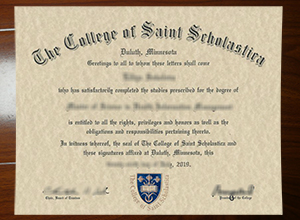 College of St. Scholastica degree