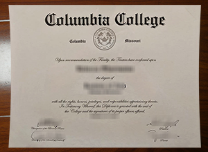 Columbia College degree