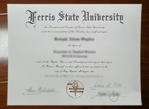 Ferris State University degree