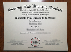 Minnesota State University Moorhead degree