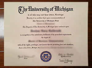 University of Michigan-Flint degree