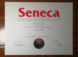 Seneca Polytechnic degree