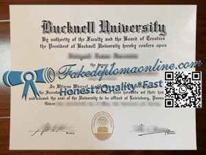 Bucknell University degree