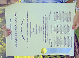 College of Charleston degree