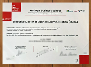 Emlyon business school EMBA degree