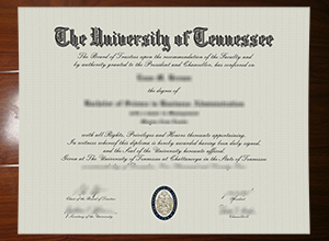 University of Tennessee at Chattanooga degree