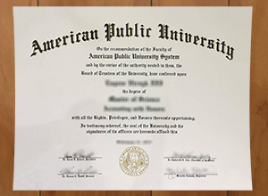 American Public University degree