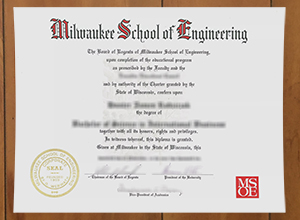 Milwaukee School of Engineering degree