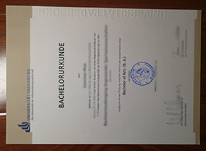 Paderborn-University-degree