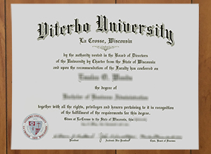 Viterbo University degree