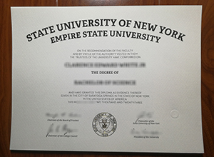 Empire State University degree