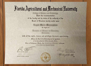 Florida Agricultural and Mechanical University degree